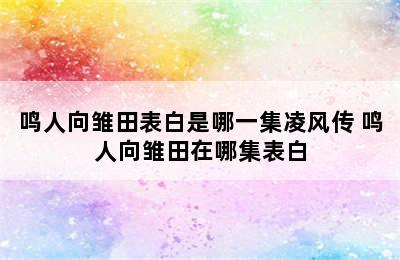 鸣人向雏田表白是哪一集凌风传 鸣人向雏田在哪集表白